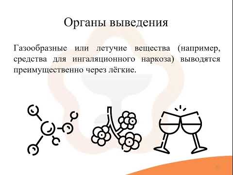1.6. Фармакокинетика: Выведение (экскреция)