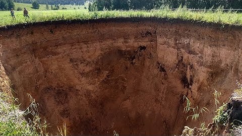 What Is Podzolic Soil ?