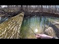 Small Creek BROWN TROUT Fishing with Spinners