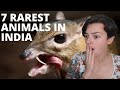 7 RAREST Animals Found In India | REACTION!!