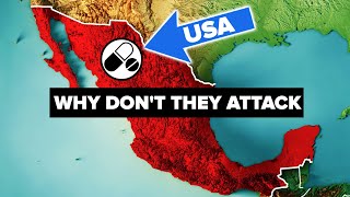 What's Stopping US Army From Attacking Mexican Cartels screenshot 4