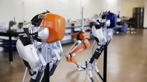 RESEARCHERS TRAIN BIPEDAL ROBOTS TO STEP LIGHTLY OVER ROUGH TERRAIN