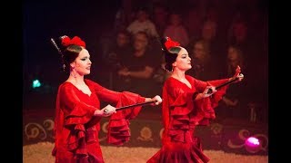 Flamenco circus (flabaret)