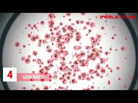 Indicashorty: The Future Of [Relevant Industry]