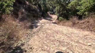 Mt Diablo! The run from Rock City to So. Gate Road Entrance!  Electric Mountain Biking/Bike/E-MTB.