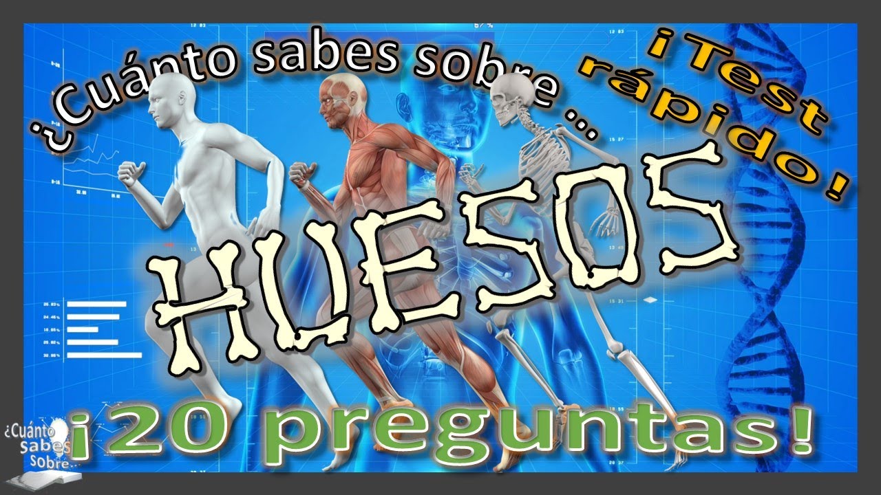 📝👨‍🏫¿Cuánto sabes sobre...HUESOS DEL CUERPO HUMANO?👩‍🏫 ¡20 preguntas
