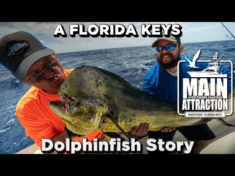 A Florida Keys Summer Dolphinfish Story