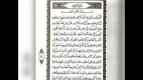 قران كريم سورة الروم تلاوة القارئ هزاع البلوشي