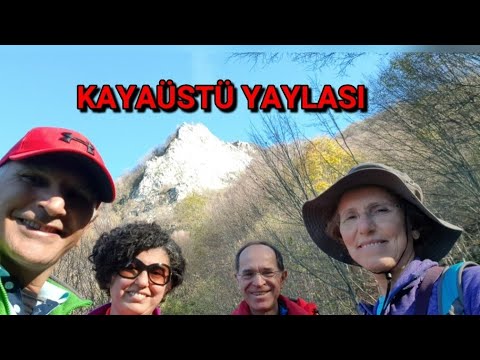 KAYAÜSTÜ YAYLASI, TEPECİK