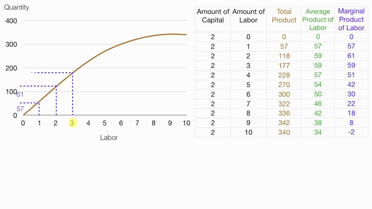 Relationship between marginal  average productivity 