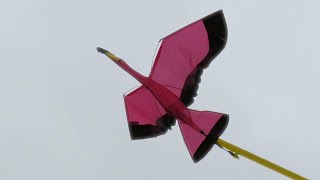 ALDI 3D-Flamingo Kite 20240513 Durdham Downs