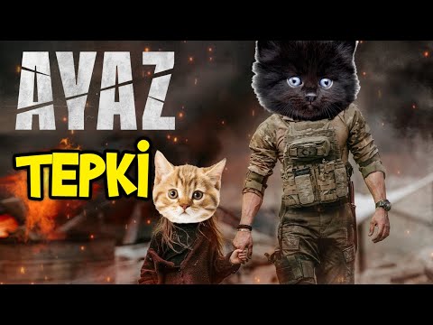 Enes Batur - Ayaz (Parodi) / Konuşan Pisiler Yavru Kedi Tepki