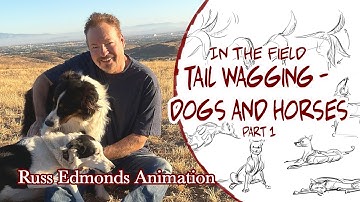 Tail Wagging - Dogs and Horses / Animation drawing from life and studying behavior / Russ Edmonds