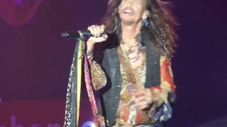 Steven Tyler  \