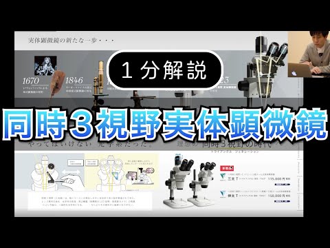 動画
