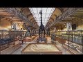 Galerie de palontologie  vue 3d