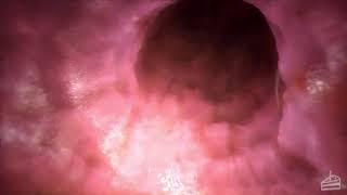 Jackal By Cakeinferno