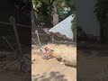 ⚠️ Tres personas atrapadas tras ceder un muro tras las lluvias torrenciales en Tarragona