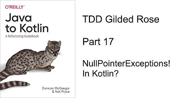 NullPointerExceptions! In Kotlin?