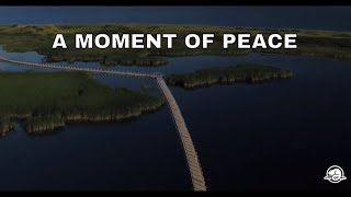 Peaceful Greenwich in Prince Edward Island National Park screenshot 1