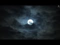 Peter Gabriel - Full Moon Update October 2012