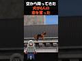 ㊗️70万再生‼️犬が落ちて4人の命が奪われる #実話 #事故