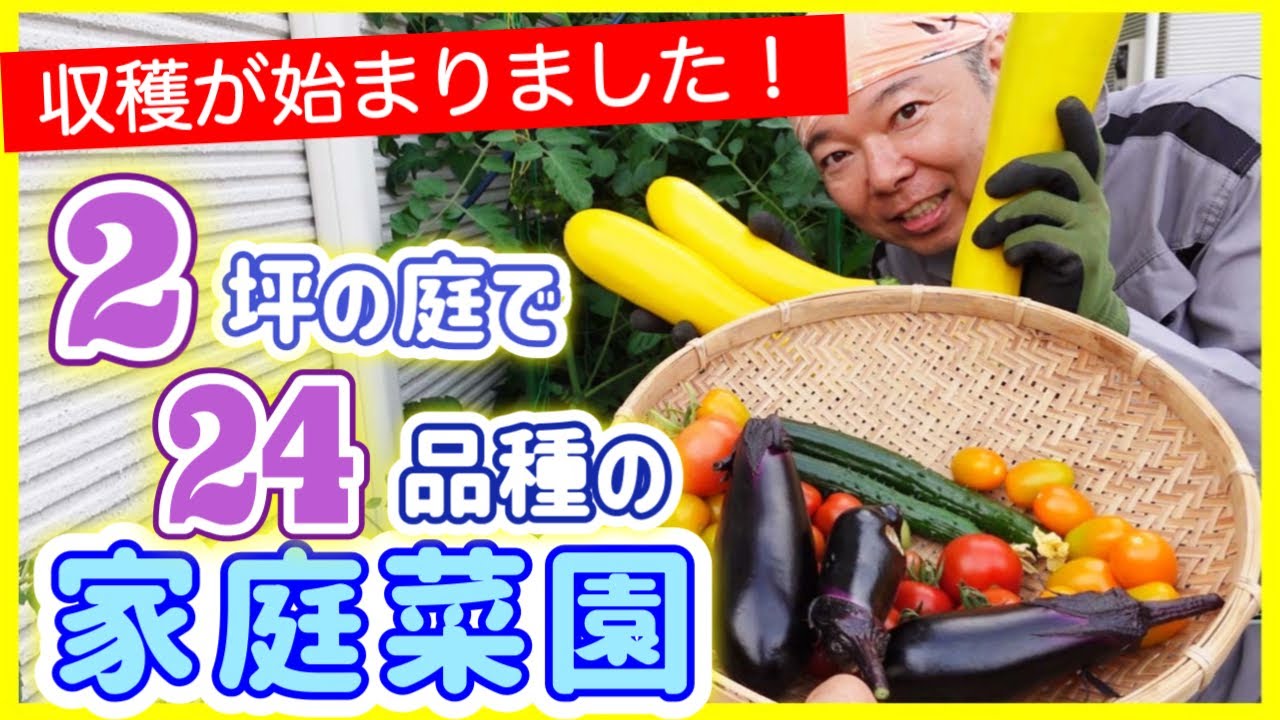 A home vegetable garden with 24 varieties in just 2 tsubo (6.6m²