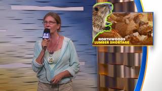 State Fair Experience Day 9 Session 118