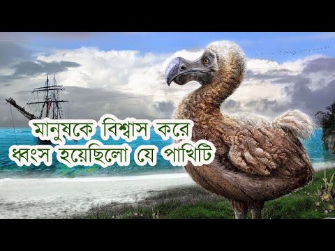 ভিডিও: ডোডো পাখি: উচ্ছেদের ইতিহাস