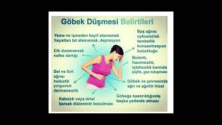 Göbek Düşmesi Veya Halk Arasındaki Tabiriyle Göbek Kayması, Karın Bölgesindeki Kaslarınzorlanması