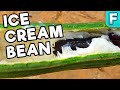 Ice Cream Bean | Fruits You&#39;ve Never Heard Of