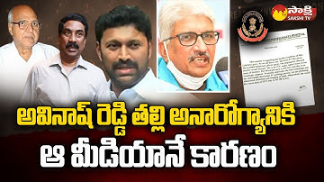 AP National Media Advisor Devulapalli Amar Slams Yellow Media over MP Avinash Reddy Issue |@SakshiTV