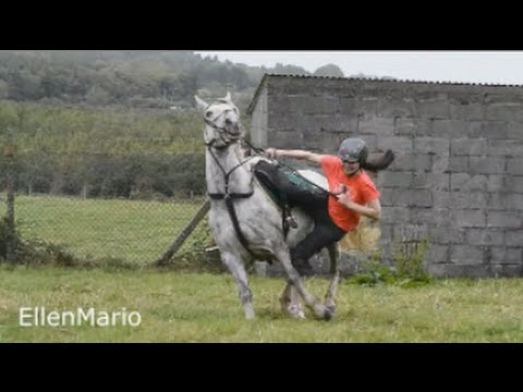 Horse Falls Compilation  - Best Bad Horse and Pony Falls - Epic Equestrian Fails, Thrills and Spills