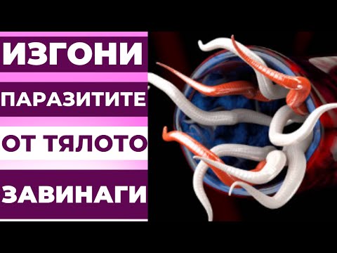 Видео: Как да използвате душ крем: 14 стъпки (със снимки)