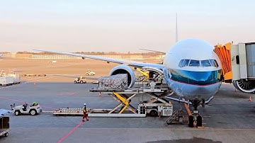 Container Chaos: What Shippers Need to Know