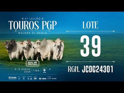 LOTE 39 JCDG 24301