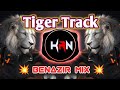 Tiger track  benazir mix  instagaram viral  dj karan krn  2021