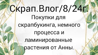 видео: Скрап.Влог/8 #покупкидляскрапбукинга Немного процесса и ламинированные растения от Ани. #скрапбукинг картинка: Скрап.Влог/8 #покупкидляскрапбукинга Немного процесса и ламинированные растения от Ани. #скрапбукинг