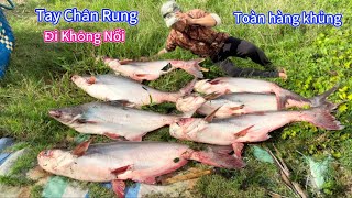 #1163. HÀNH TRÌNH Săn HuGo Khủng Sông Hậu Giang Cùng Anh Em.HUGO HUNTING JOURNEY on Hau Giang River