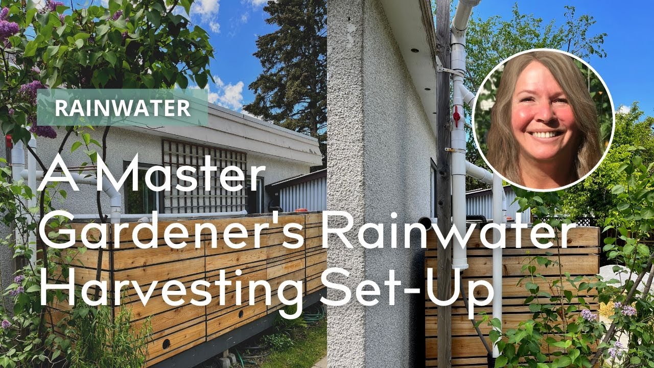 Rainwater Harvesting and Management on Your Urban Property YouTube