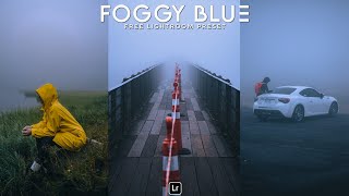 Foggy Blue Preset | Lightroom Mobile Preset Free DNG | Fog preset | Blue preset | lightroom presets screenshot 2