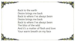 Blondie - Desire Brings Me Back DVD Lyrics