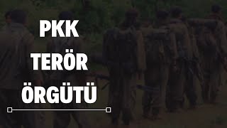 Türkiye'de Terör Örgütleri Bölüm Bir: PKK Terör Örgütü