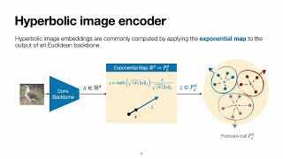 Hyperbolic vs Euclidean Embeddings in Few-Shot Learning: Two Sides of the Same Coin