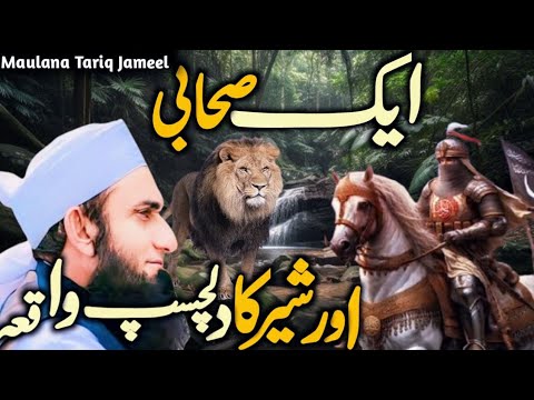 एक सह ब और श र क व क य Waqia Ek Sahabi Aur Sher Life Changing Bayan Maulana Tariq Jameel