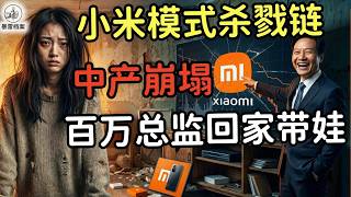 Xiaomi's Kill Chain: Extreme Cost-Effectiveness = Salary Evaporation? 'The Fig Leaf of Stay-at-Ho...