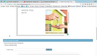 Embedding a PDF into your Real Geeks Site