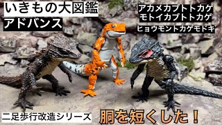 いきもの大図鑑 改造 ヒョウモントカゲモドキ と アカメカブトトカゲ 二足歩行改造 更に胴を短くしたら 良い感じ！