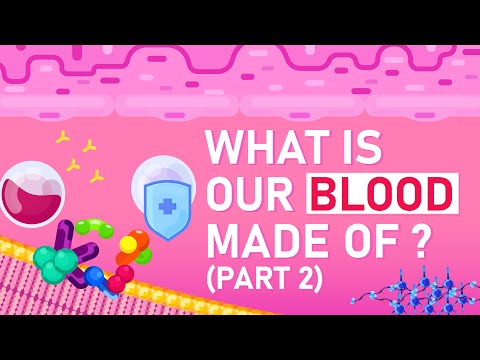 What is Our Blood Made Of? Part 2