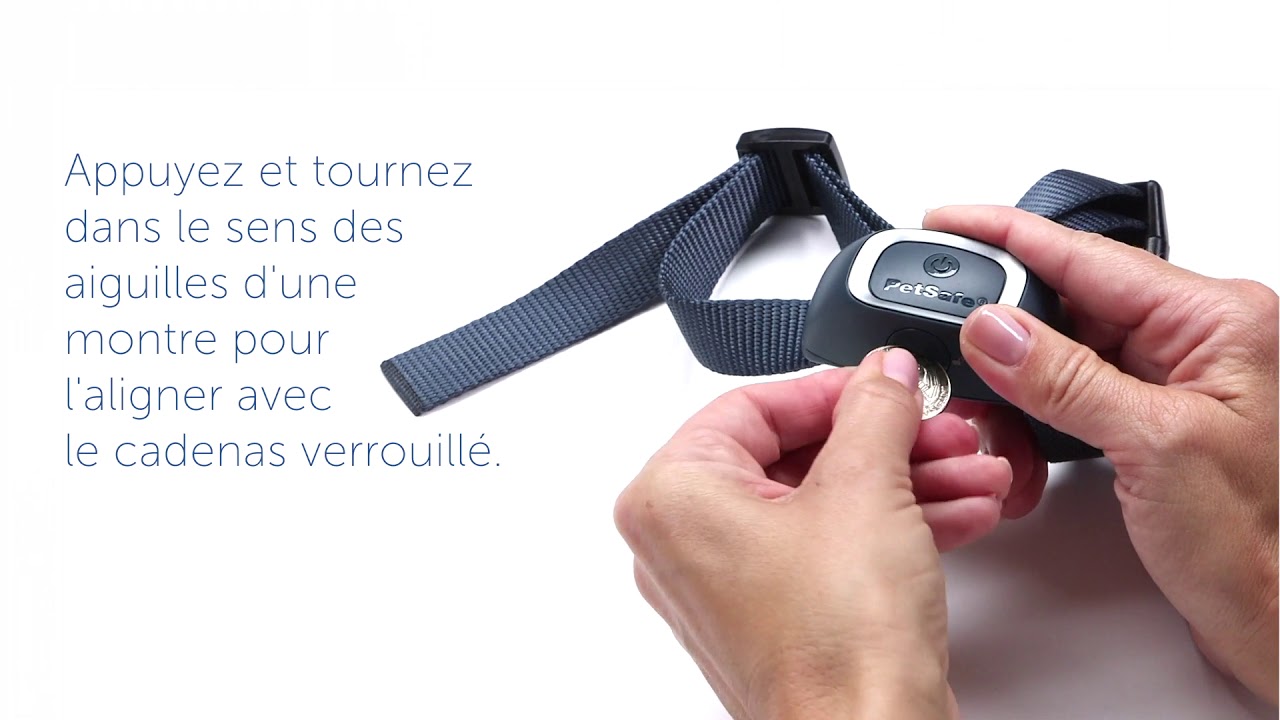 Comment insérer une pile au collier anti-aboiement PetSafe® de votre